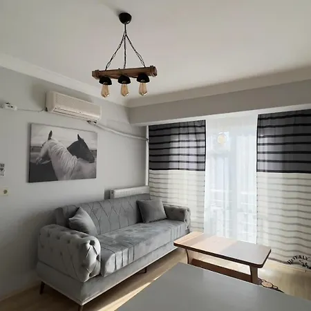 House 3*